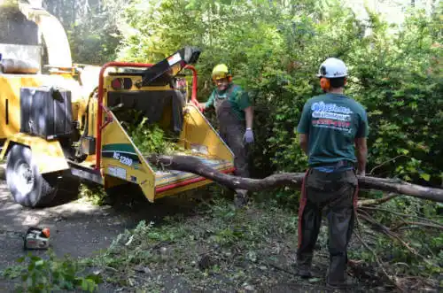 tree services Peru